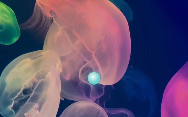 Jellyfish EMDR tool preview