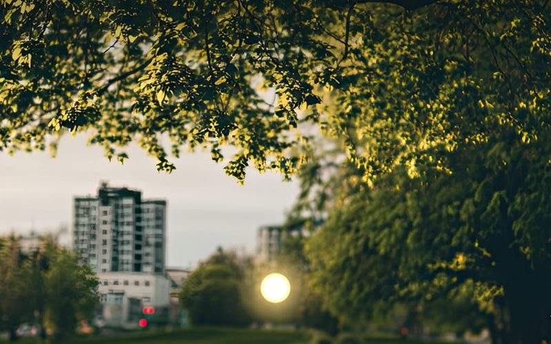 Walk in the Park EMDR tool preview